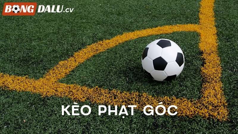 Khái niệm phạt góc và kèo phạt góc là gì?