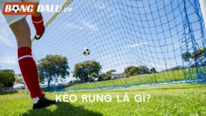 Tìm Hiểu Về Kèo Rung Là Gì Và Bí Quyết Chơi Hiệu Quả Nhất