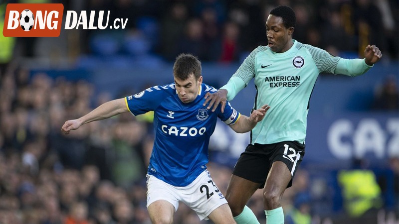 Phong độ gần đây của Brighton vs Everton