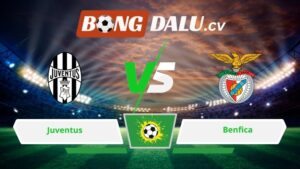Soi kèo bóng đá Juventus vs Benfica 03h00 ngày 22/01/2026
