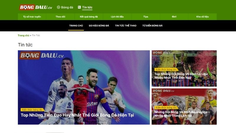 Tin tức và xu hướng bóng đá hot nhất mỗi ngày
