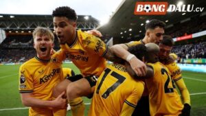 Wolverhampton – Từ Đội Bóng Có Tiếng Tăm Đến Sự Sa Sút Thảm Hại
